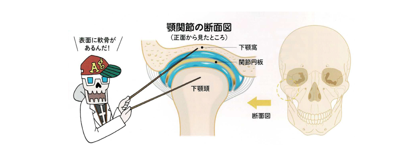 顎関節も“五十肩”でガクガク？！